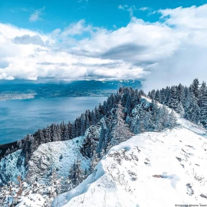 Votre Studio Balneo Bien-Etre A La Montagne Thollon-les-Memises Dış mekan fotoğraf